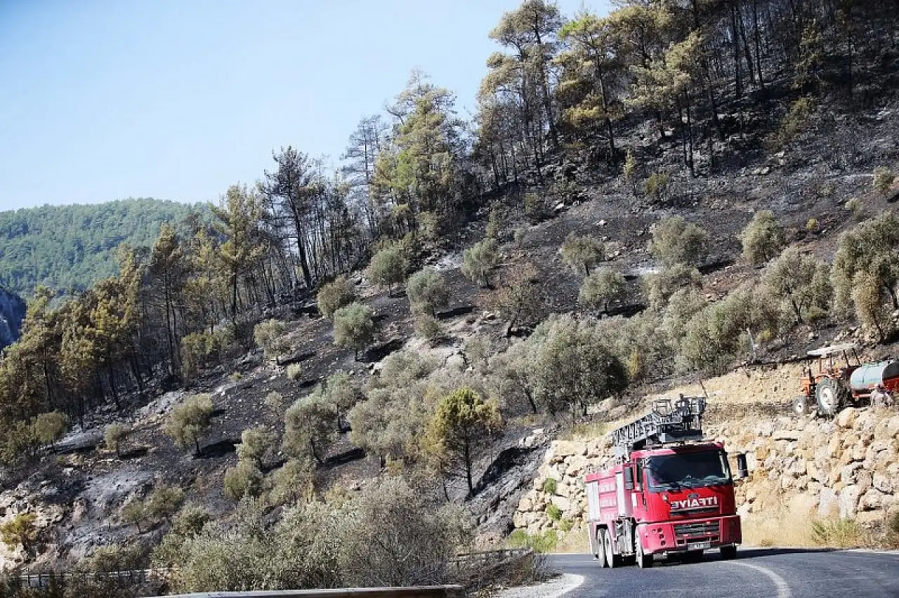 Muğla'da çıkan orman yangınına müdahale gece boyunca devam etti