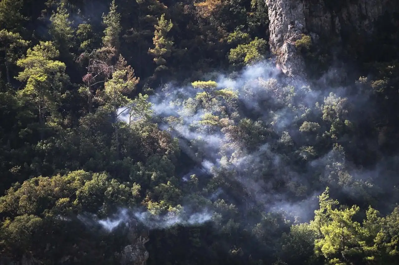 Muğla'da çıkan orman yangınına müdahale gece boyunca devam etti