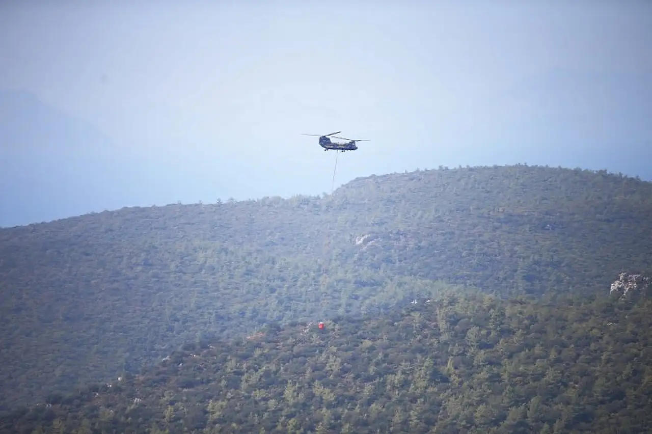 Muğla'da çıkan orman yangınına müdahale gece boyunca devam etti