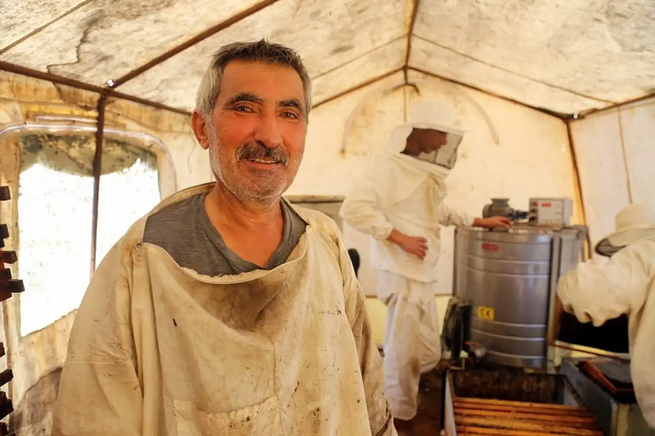 Çiçekten istediği verimi alamayan arıcıları çam balı sevindirdi
