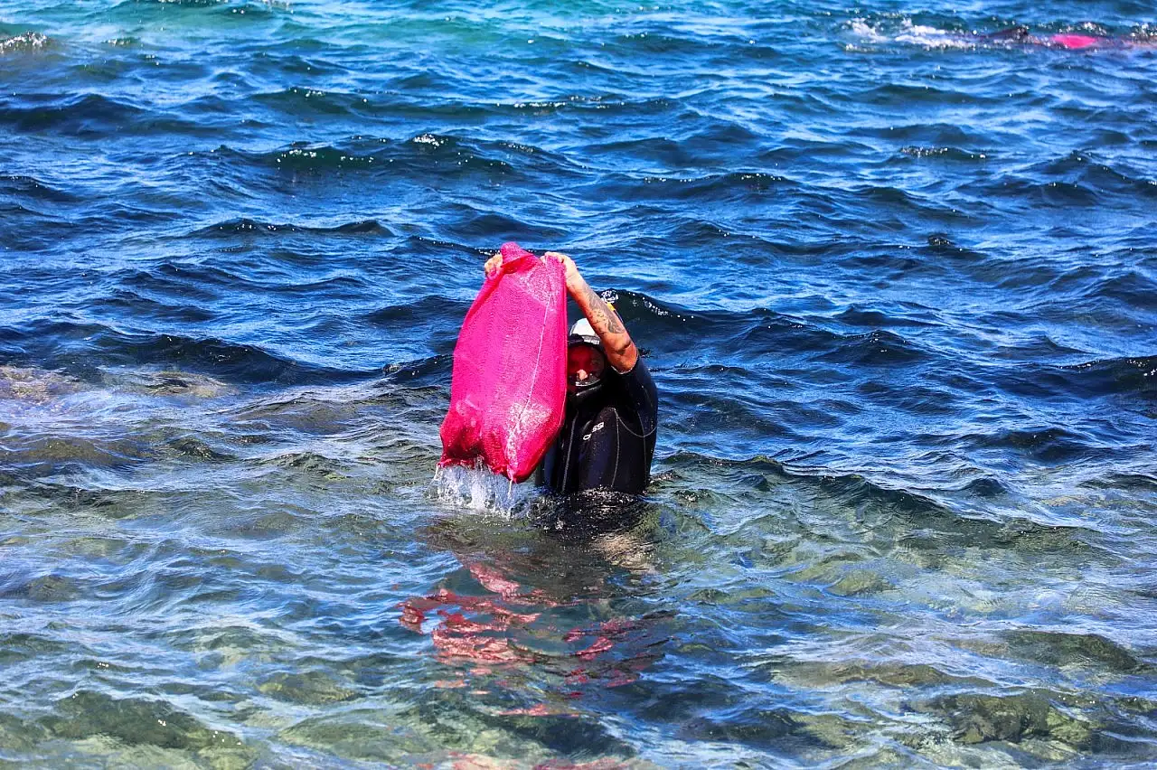 Bodrum'da deniz dibi temizliği yapıldı