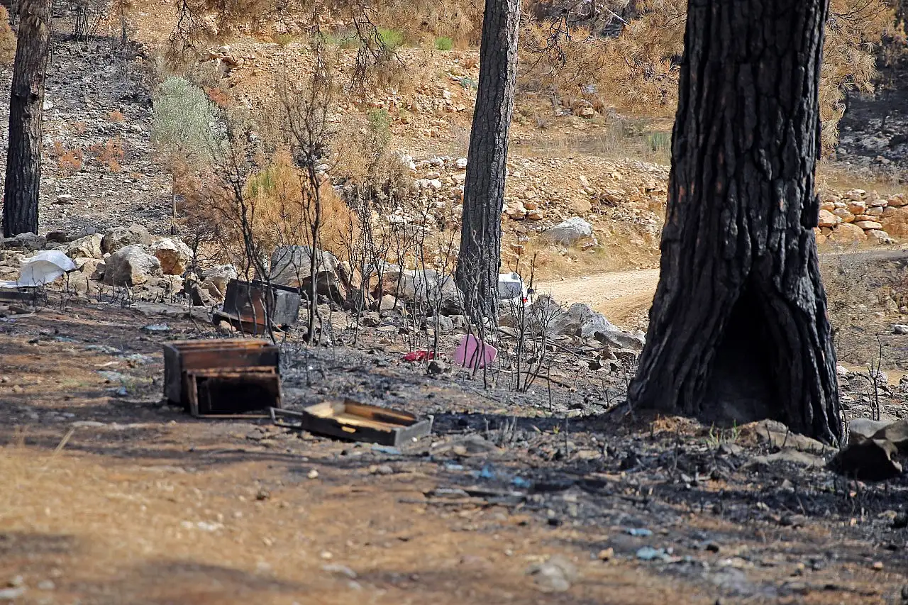 Muğla'daki orman yangınında arıcı 300 kovanını cansiparane mücadeleyle kurtarmış