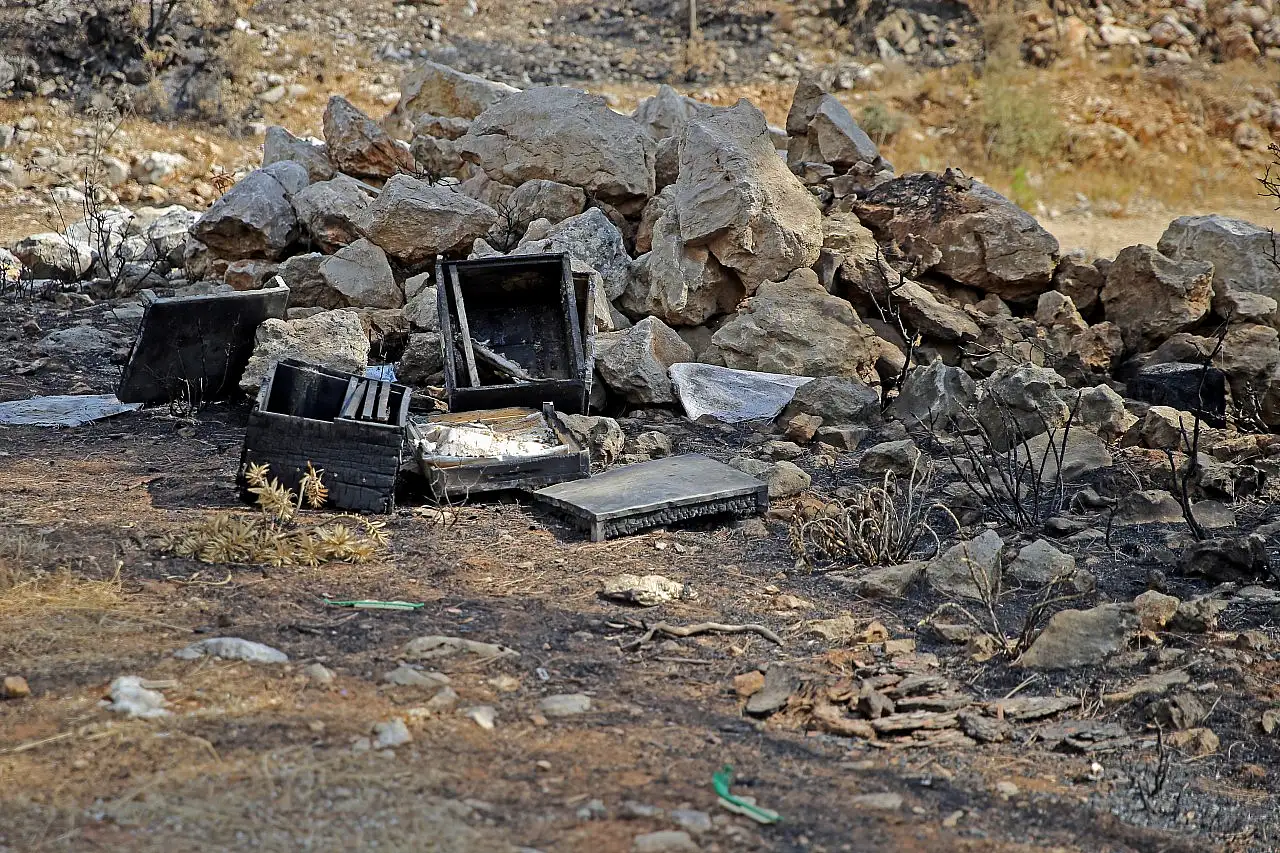 Muğla'daki orman yangınında arıcı 300 kovanını cansiparane mücadeleyle kurtarmış