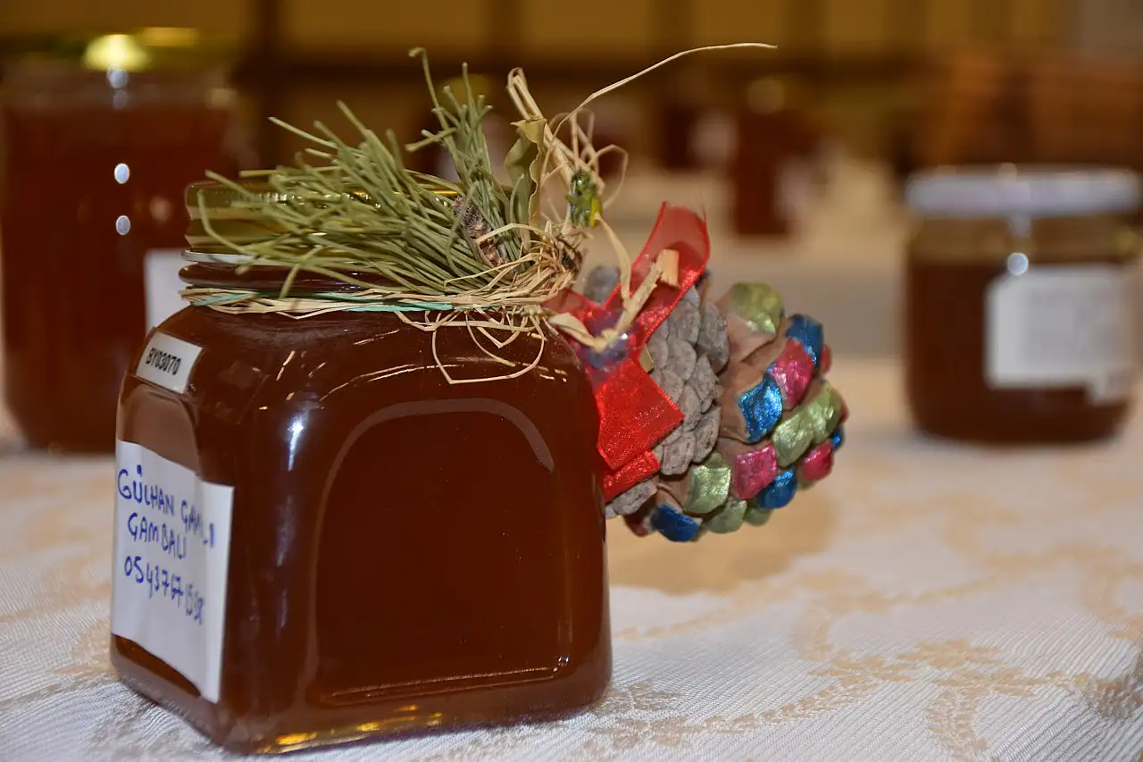 8. Uluslararası Muğla Arıcılık ve Çam Balı Kongresi sona erdi