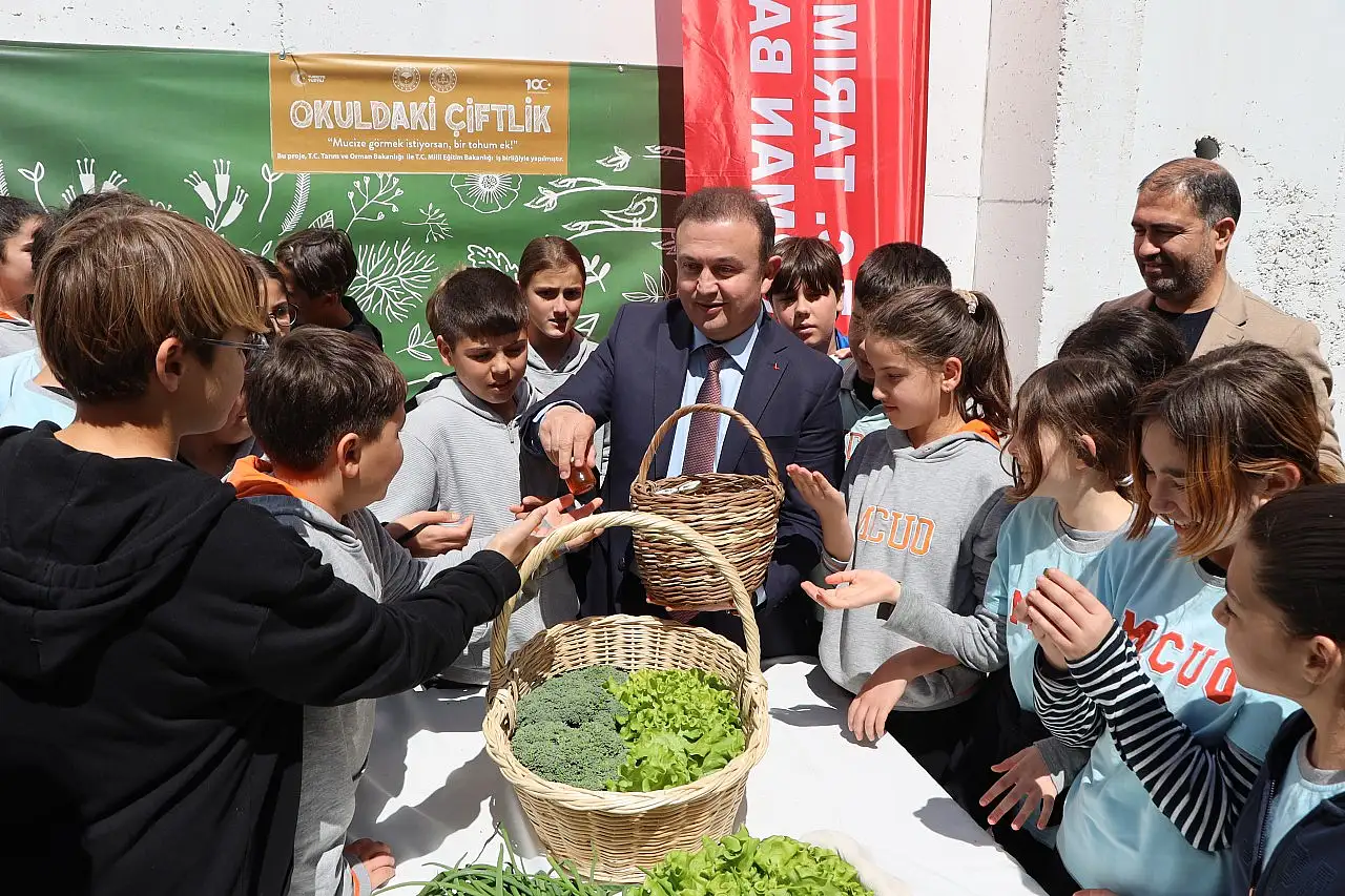Bodrum'da 'Okuldaki Çiftlik Projesi' kapsamında hasat yapıldı