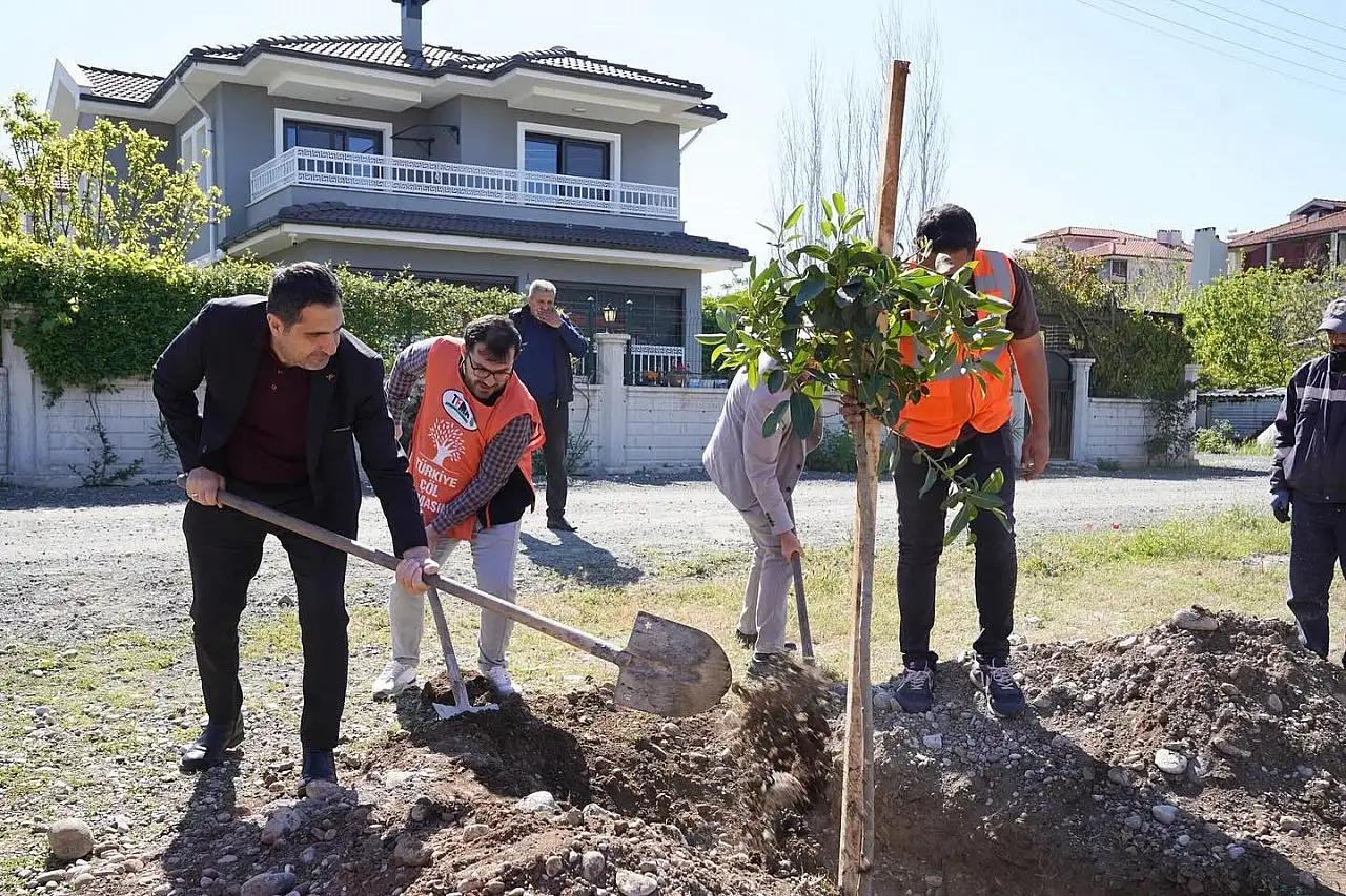 Muğla'da üniversite öğrencileri ile TEMA iş birliğinde fidan dikildi