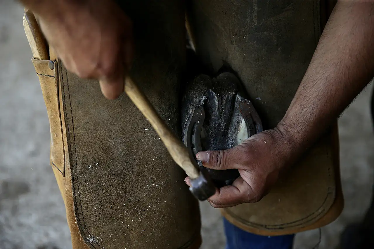 Beslediği atlara nalbant bulamayan ambulans şoförü, unutulmaya yüz tutan mesleği öğrendi