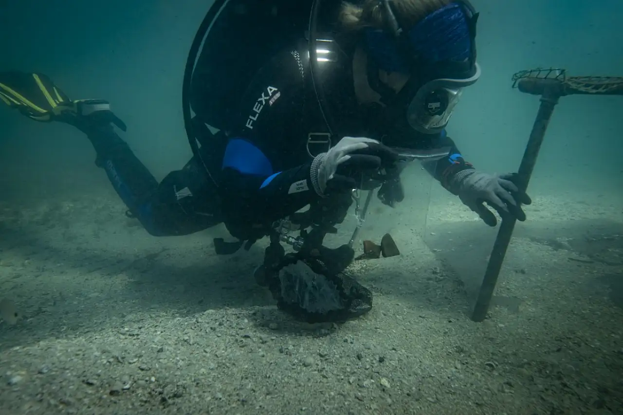 Dalgıç arkeologlar, su altında 7 bin yıllık limanda yeni keşifler için çalışıyor