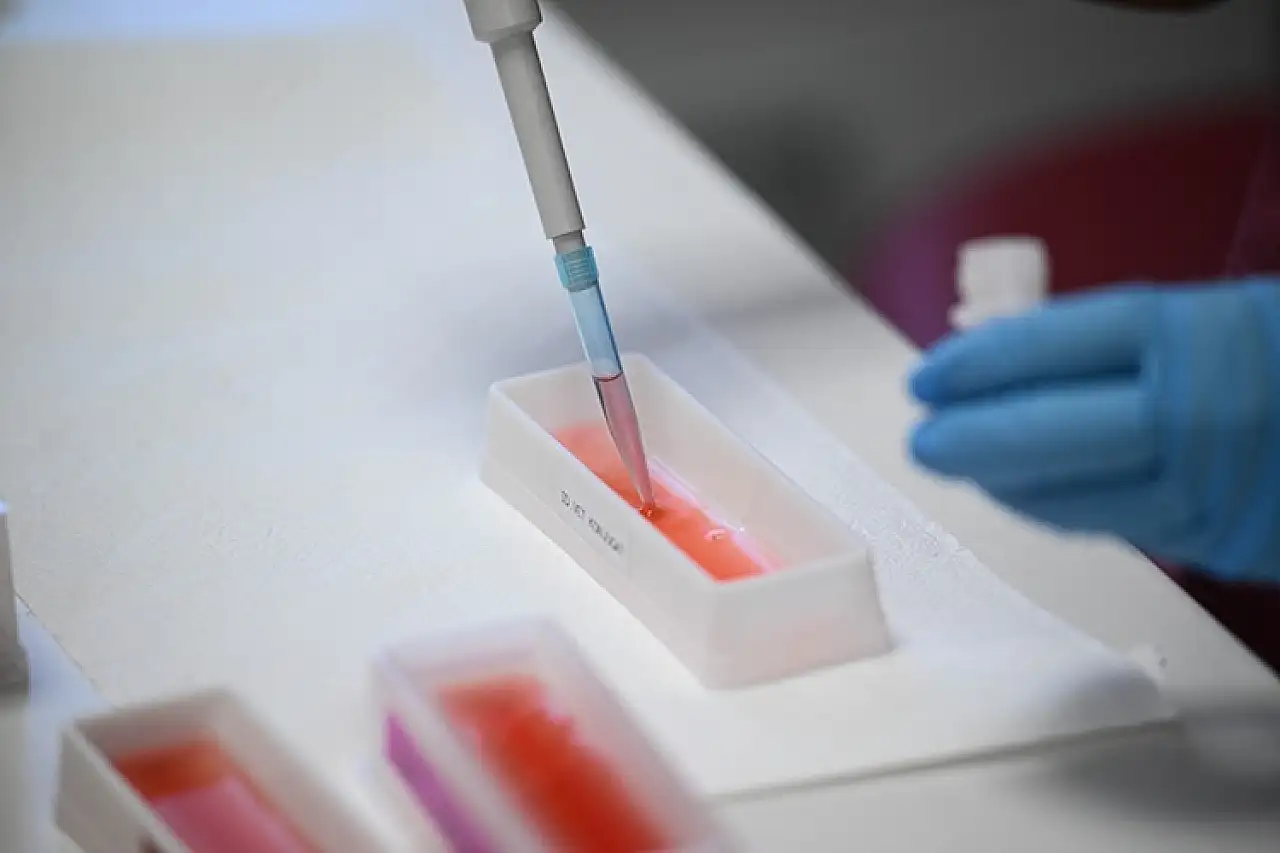 Şap hastalığının yeni serotipine karşı yaklaşık 15 milyon doz aşı sahaya sevk edilecek