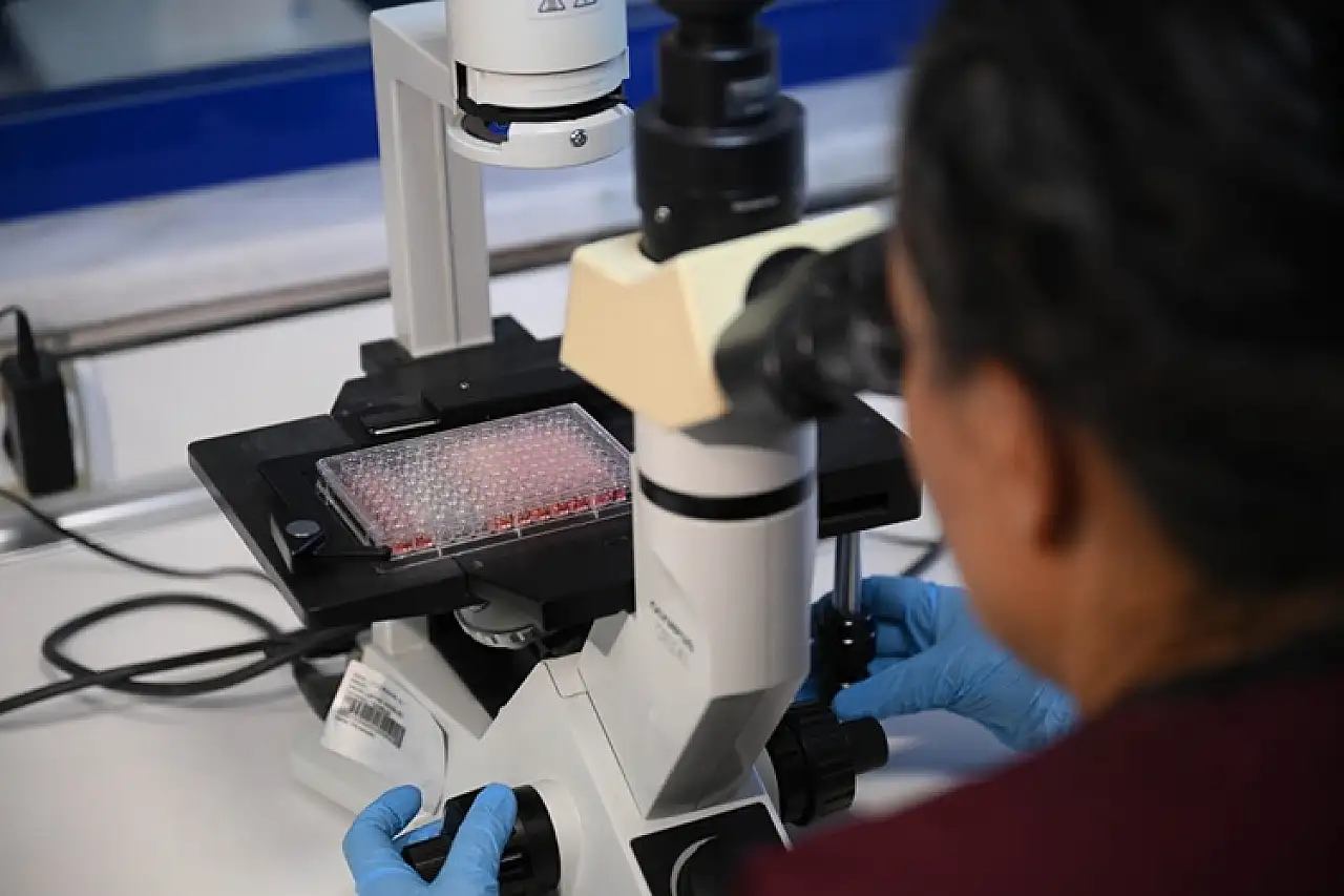 Şap hastalığının yeni serotipine karşı yaklaşık 15 milyon doz aşı sahaya sevk edilecek