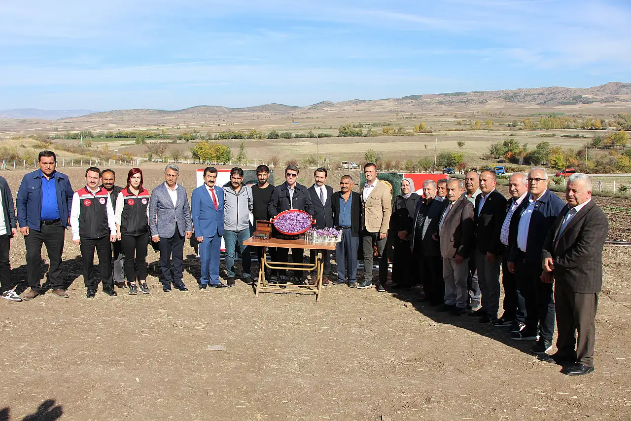 Dünyanın en pahalı baharatı safranın 1 gramı 500 TL