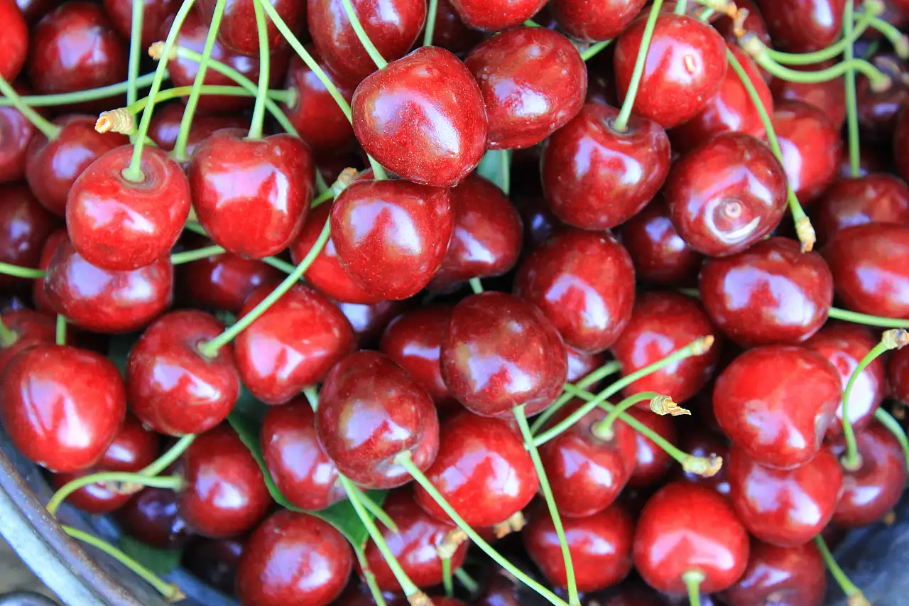 Dondurulmuş kirazda da dünya lideriyiz