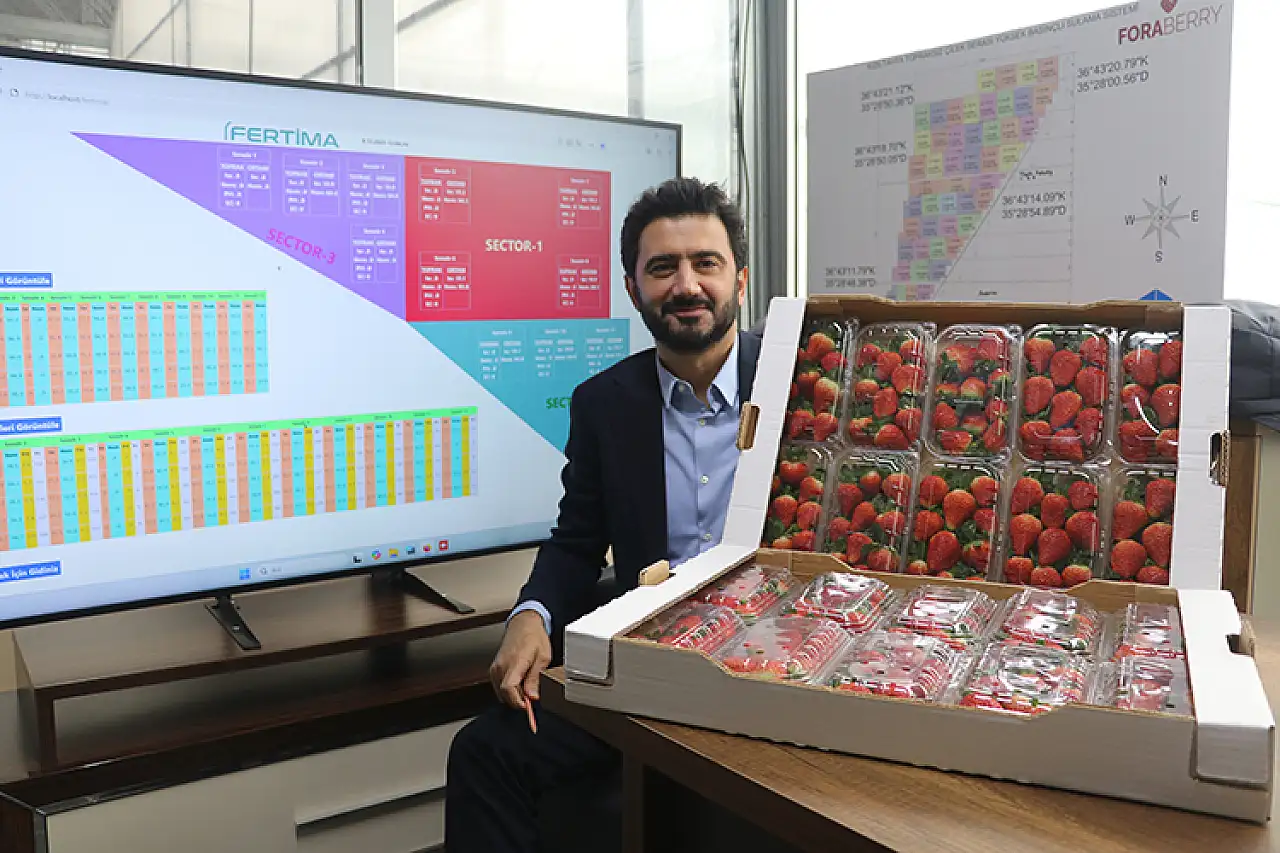 Yapay zeka destekli topraksız serada üretilen çilek 7 ülkeye ihraç edildi