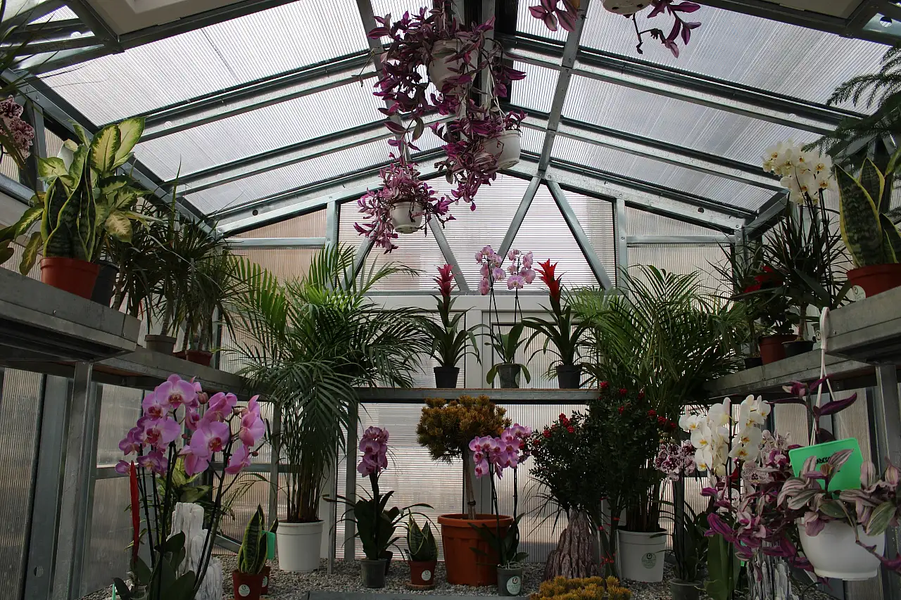 Çiçek Doktoru Ersan: 'İnsanlar bitkileriyle ilgili yaşamış oldukları sorunları bana iletiyor, ben de onlara çözümler üretiyorum'