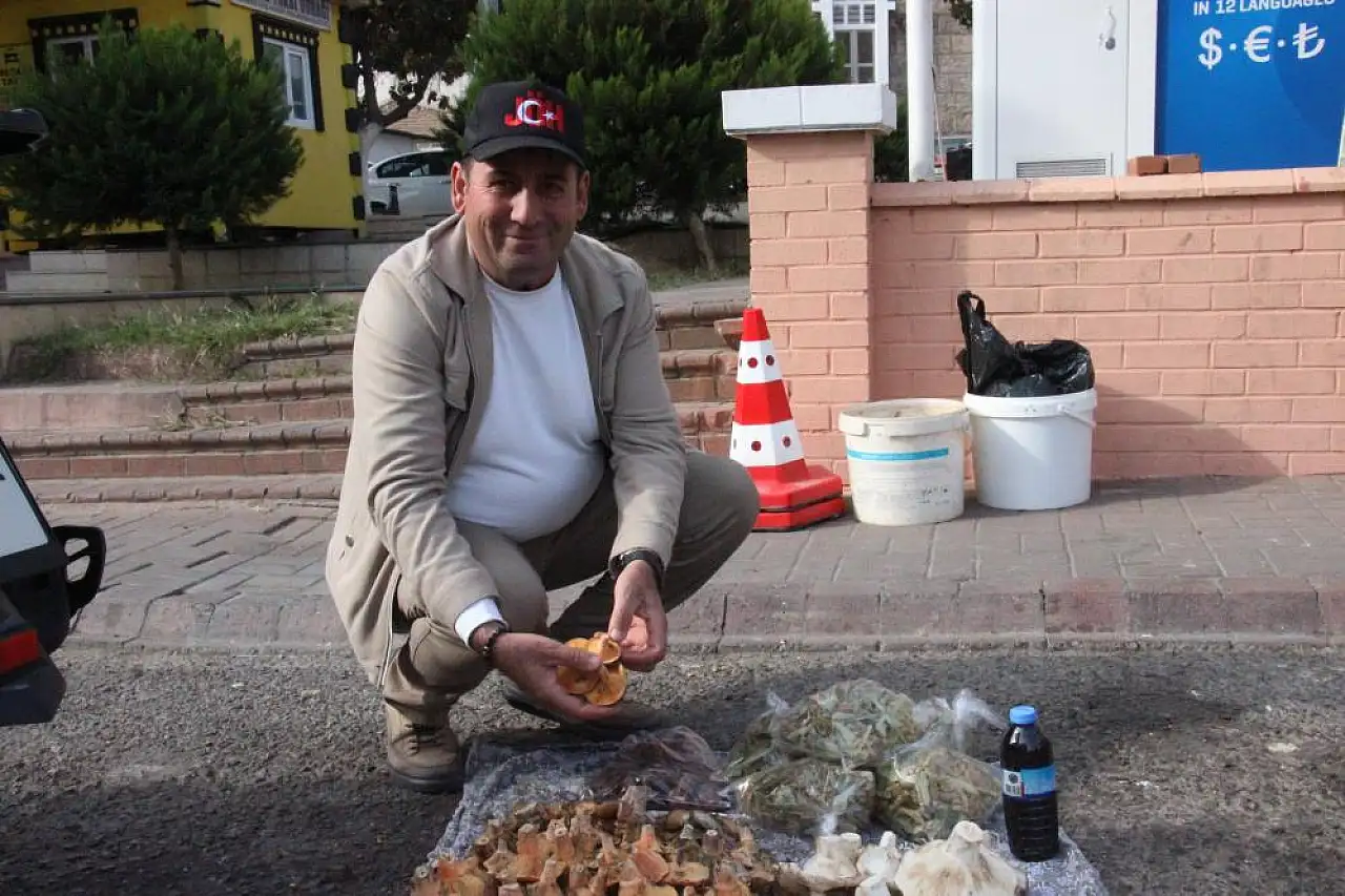 Lezzeti cezbediyor, toplaması dikkat istiyor