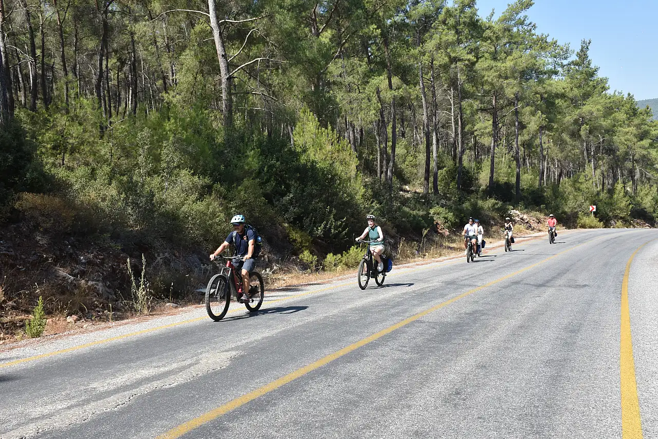 Bodrum'a kruvaziyerle gelen turistler, bisiklet turunda doğayla iç içe vakit geçiriyor