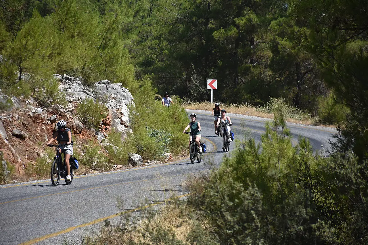 Bodrum'a kruvaziyerle gelen turistler, bisiklet turunda doğayla iç içe vakit geçiriyor
