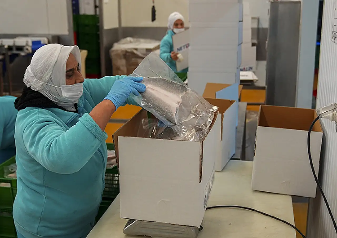 Su ürünleri ihracatının 3'te 2'ye yakını Egeli firmalardan