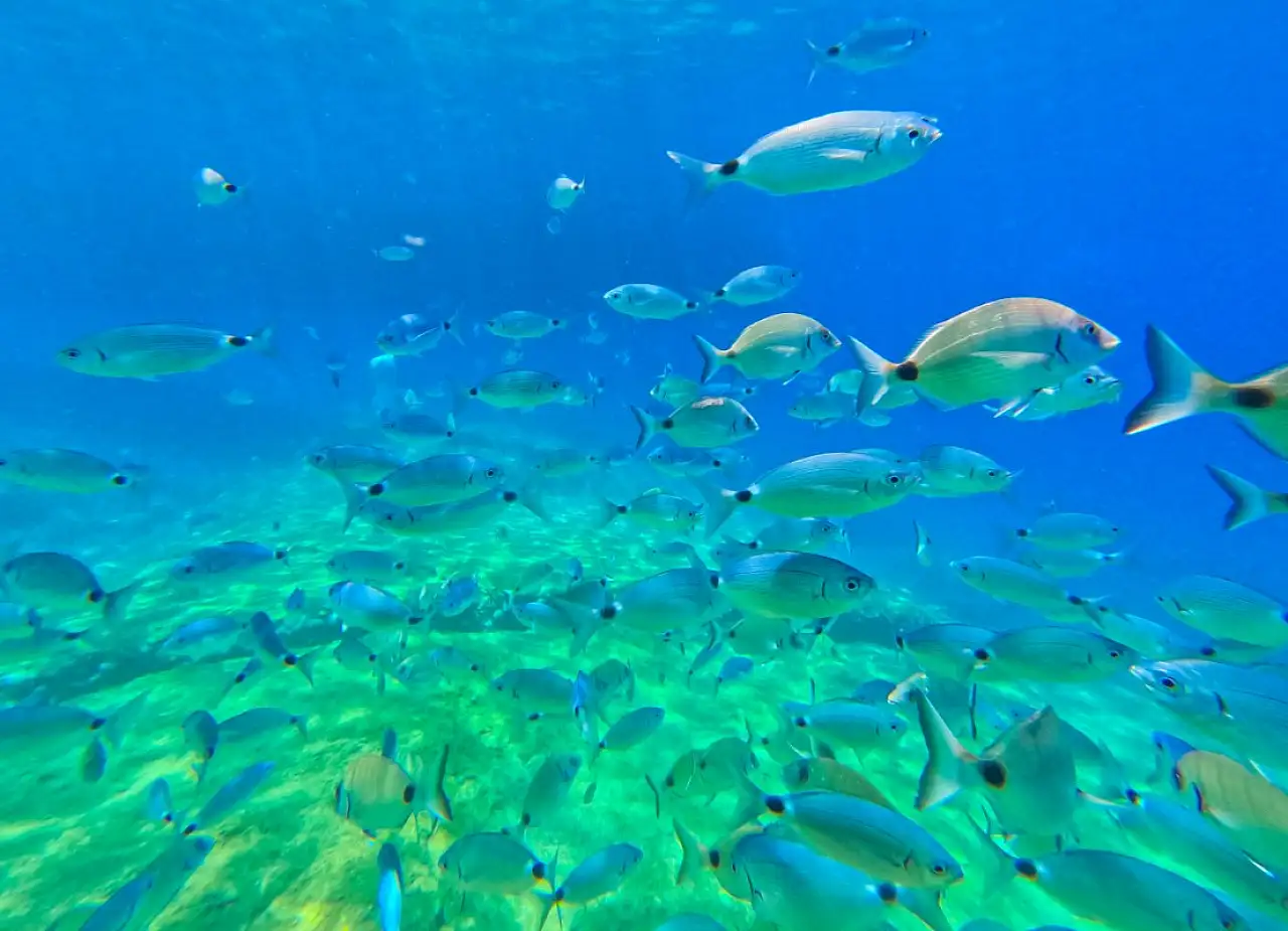 Fethiye'de Bugün Hava Nasıl Olacak? 18 Ocak Tahmini