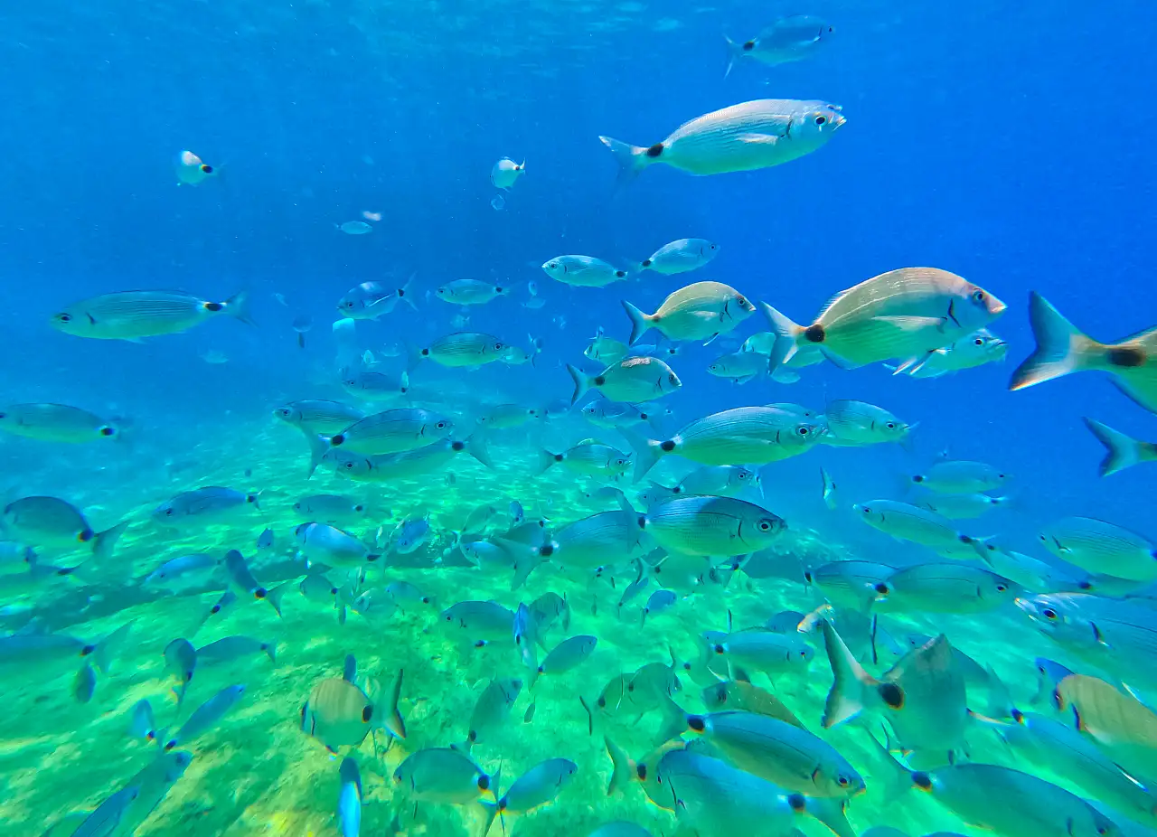 Fethiye'de 9 Temmuz Çarşamba Saatlik Hava Durumu