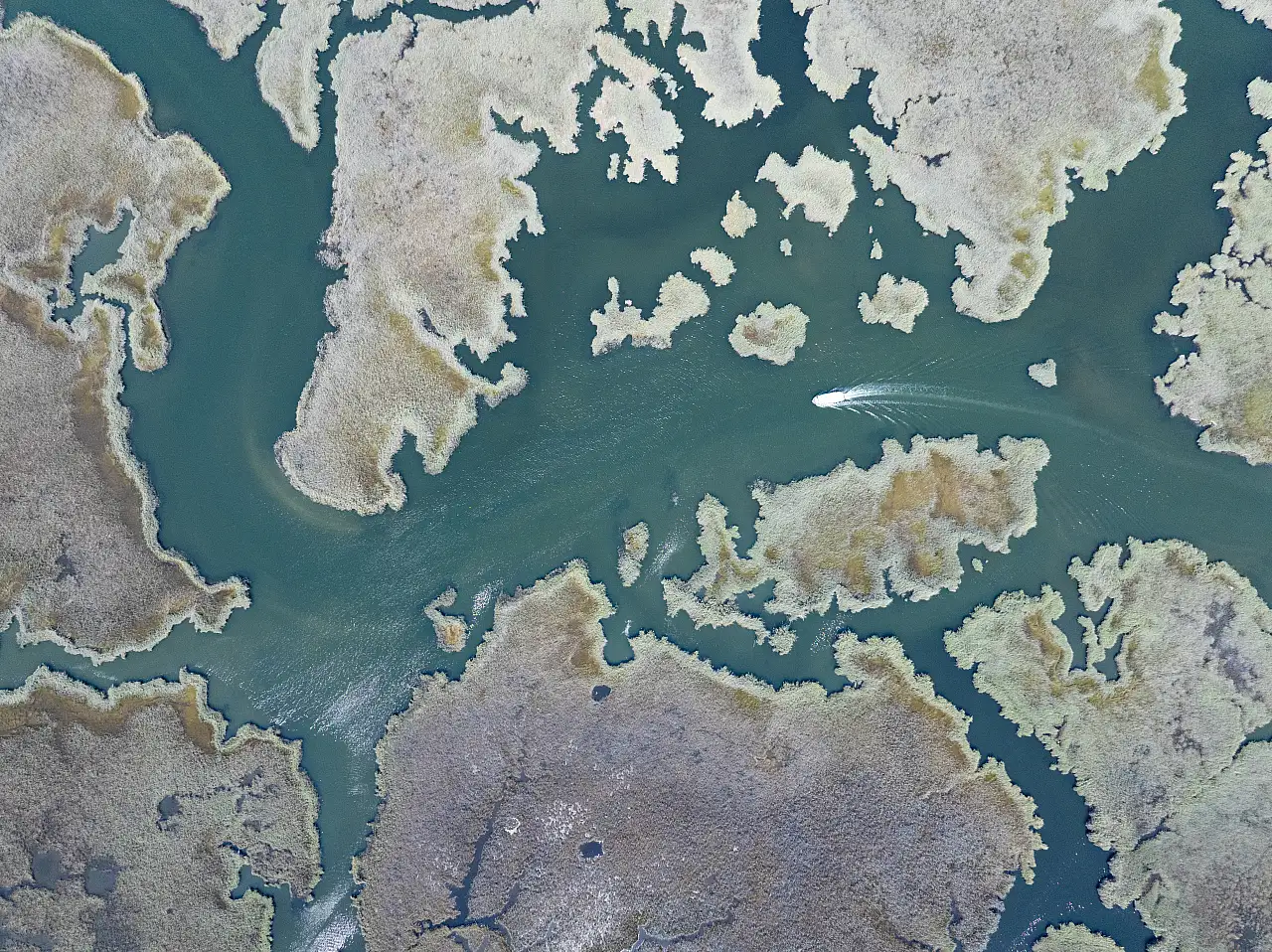 Muğla'nın incisi Dalyan, doğal güzellikleri ve tarihi mirasıyla hayran bırakıyor