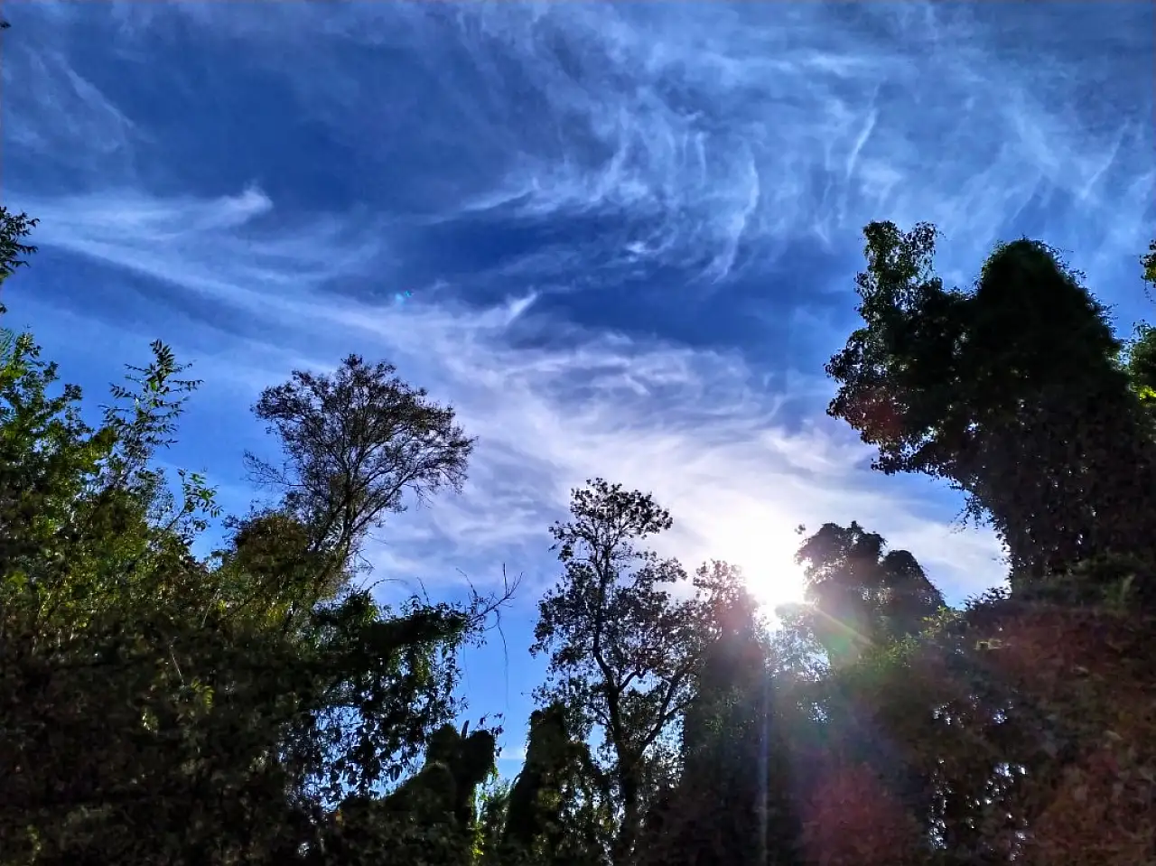 Fethiyeliler Dikkat! 6 Aralık'ta Kuvvetli Sağanak Geliyor