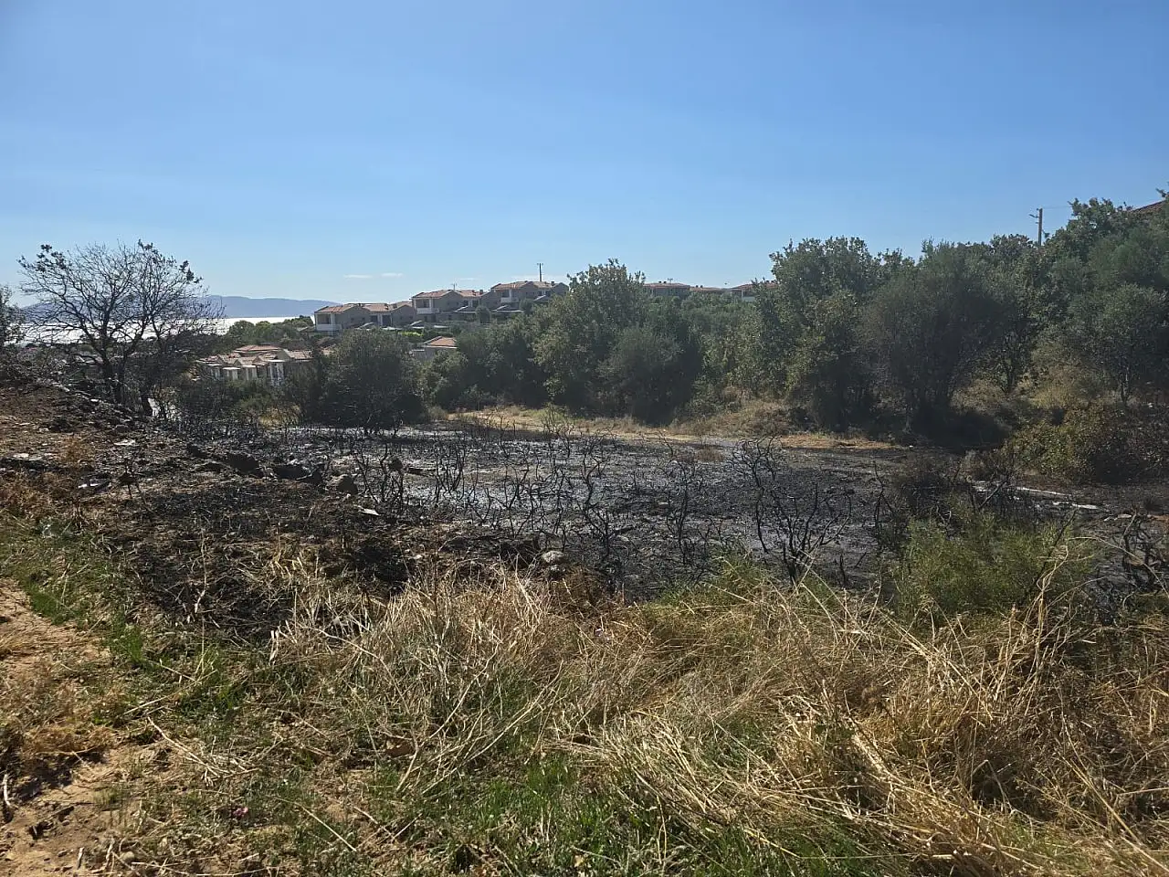 Datça'da otluk alanda çıkan yangın söndürüldü