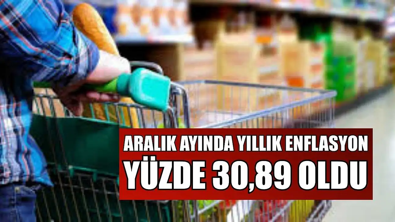 Aralık ayında yıllık enflasyon yüzde 30,89 oldu