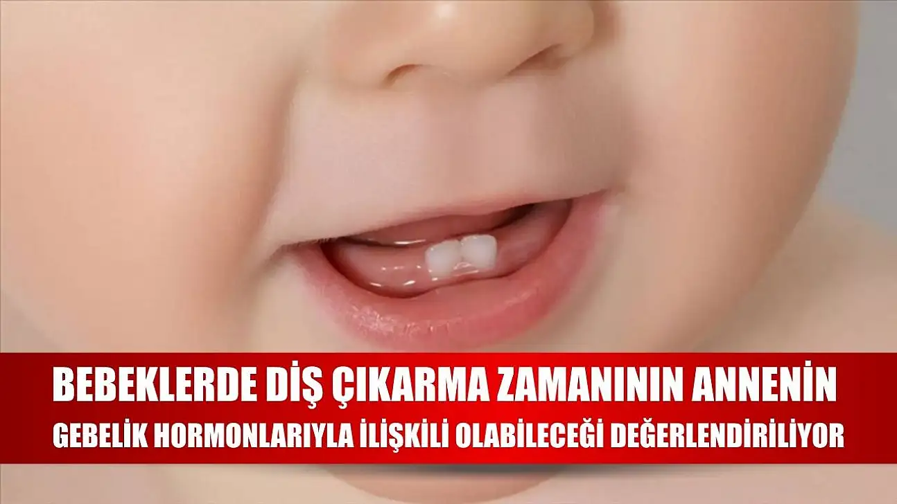 Bebeklerde diş çıkarma zamanının annenin gebelik hormonlarıyla ilişkili olabileceği değerlendiriliyor
