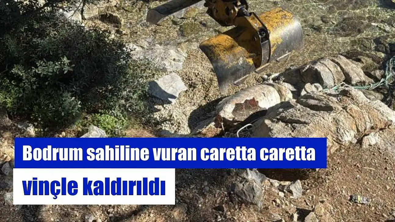 Bodrum sahiline vuran caretta caretta vinçle kaldırıldı