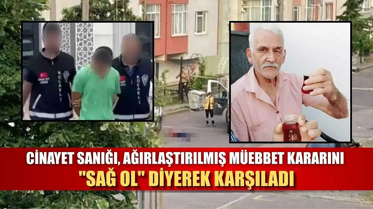Cinayet sanığı, ağırlaştırılmış müebbet kararını 'Sağ ol' diyerek karşıladı