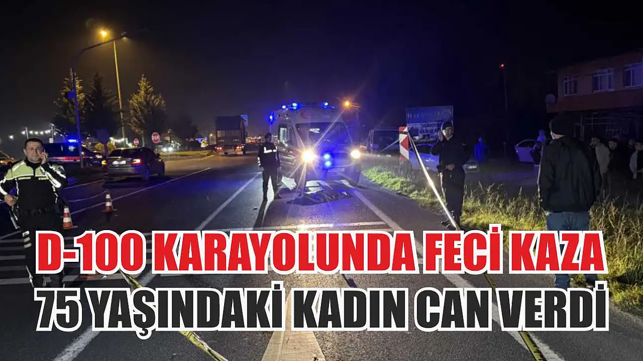 D-100 Karayolu'nda Feci Kaza: 75 Yaşındaki Kadın Can Verdi