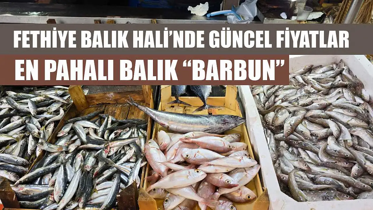 Fethiye Balık Hali'nde güncel fiyatlar: En pahalı balık 'Barbun'