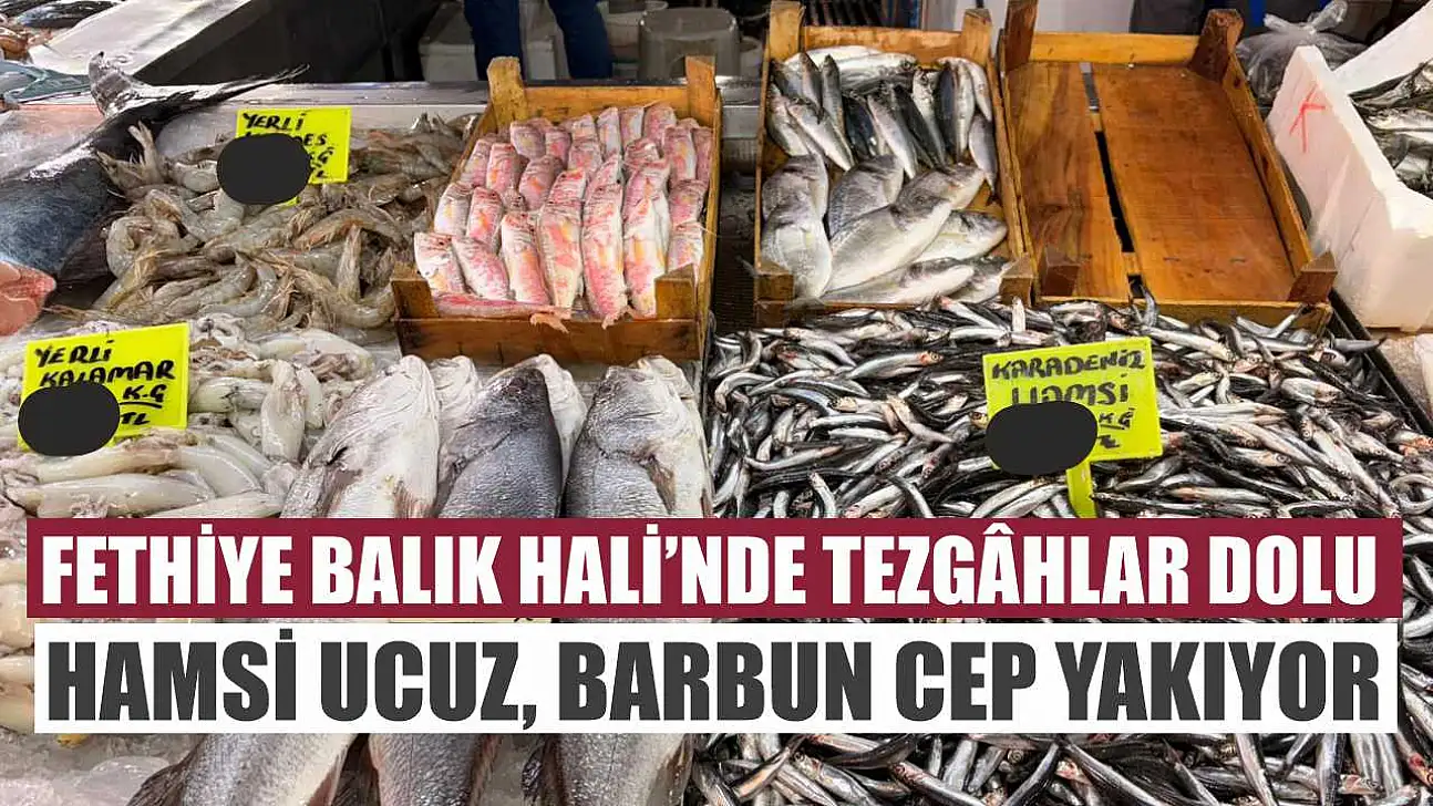 Fethiye Balık Hali'nde tezgâhlar dolu: Hamsi ucuz, Barbun cep yakıyor