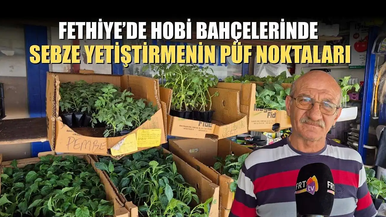 Fethiye'de hobi bahçelerinde sebze yetiştirmenin püf noktaları