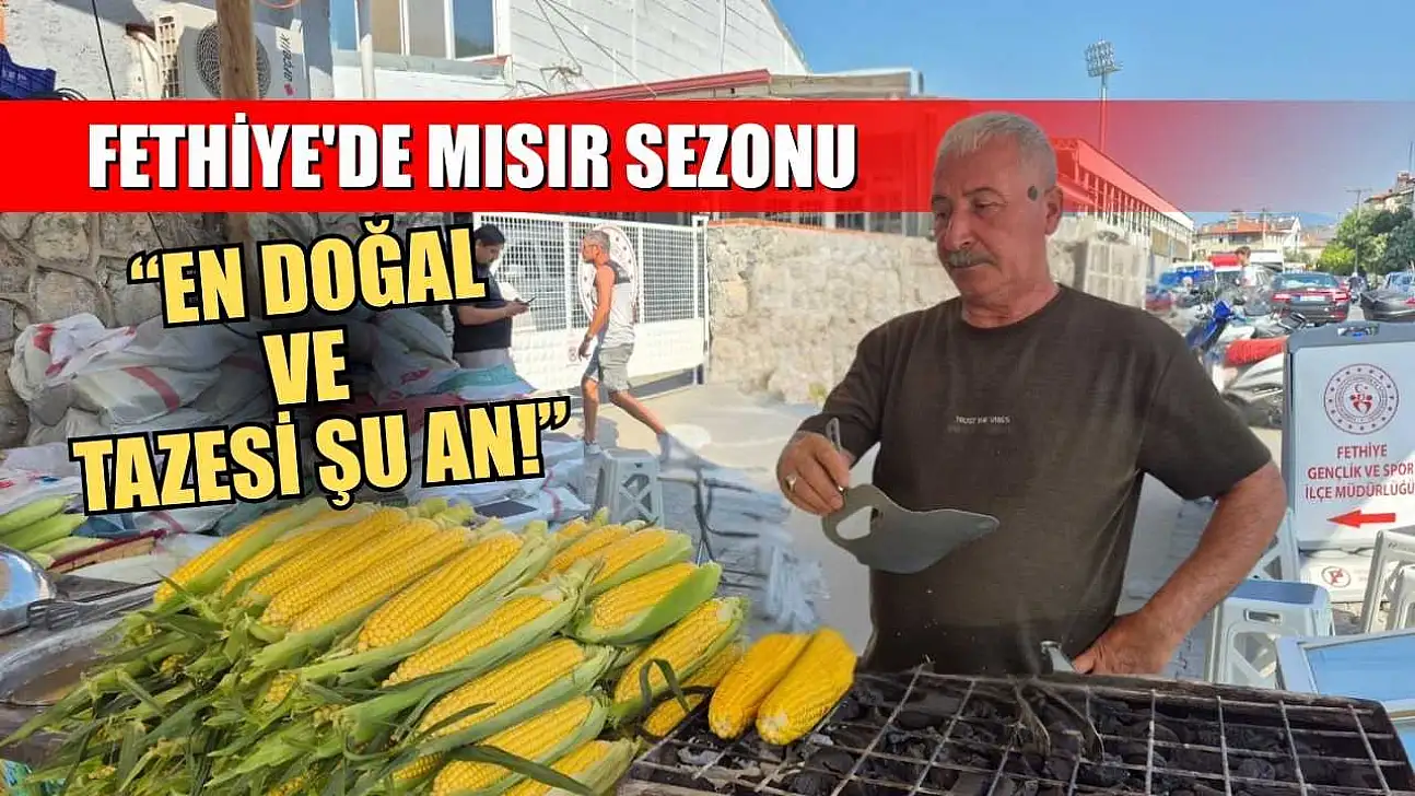 Fethiye'de mısır sezonu, 'En doğal ve tazesi şu an!'