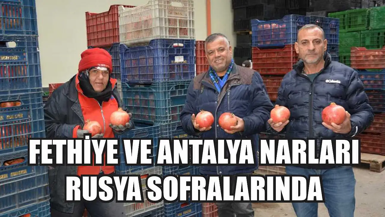 Fethiye ve Antalya Narları Rusya Sofralarında