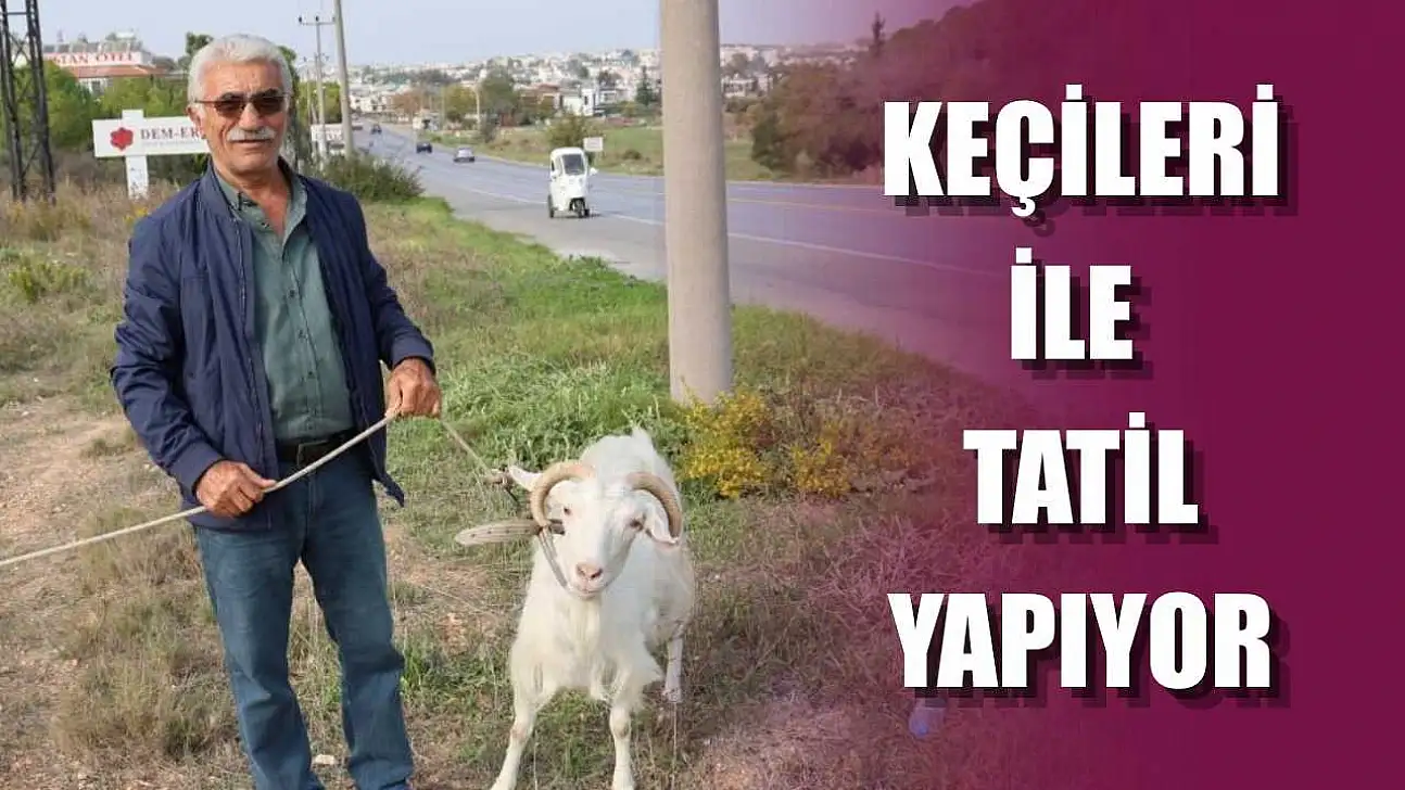 Keçileri ile tatil yapıyor