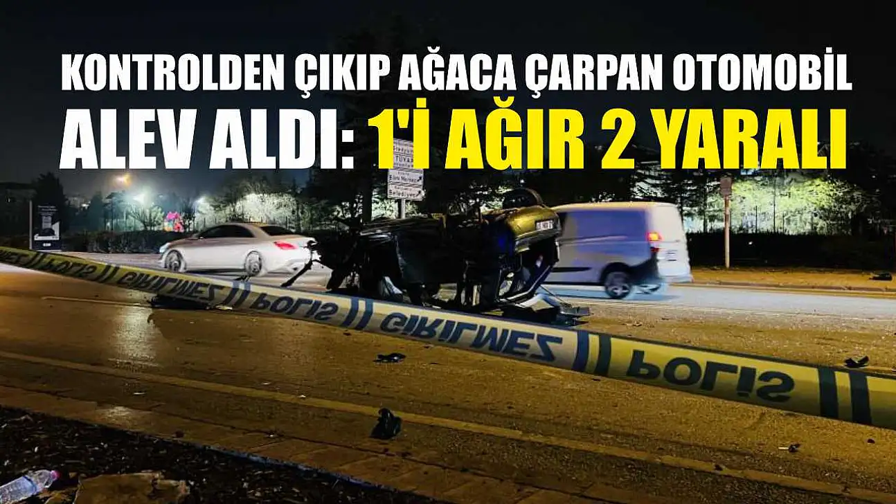 Kontrolden çıkıp ağaca çarpan otomobil alev aldı: 1'i ağır 2 yaralı