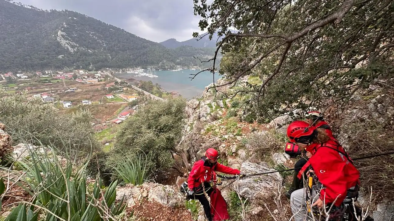 Marmaris'te kayalıklarda mahsur kalan köpek, keçi ve oğlak kurtarıldı
