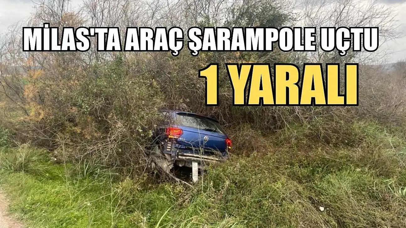 Milas'ta araç şarampole uçtu: 1 yaralı