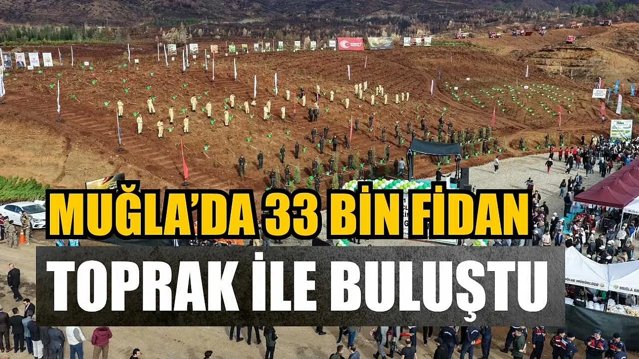 Muğla'da 33 bin fidan toprak ile buluştu