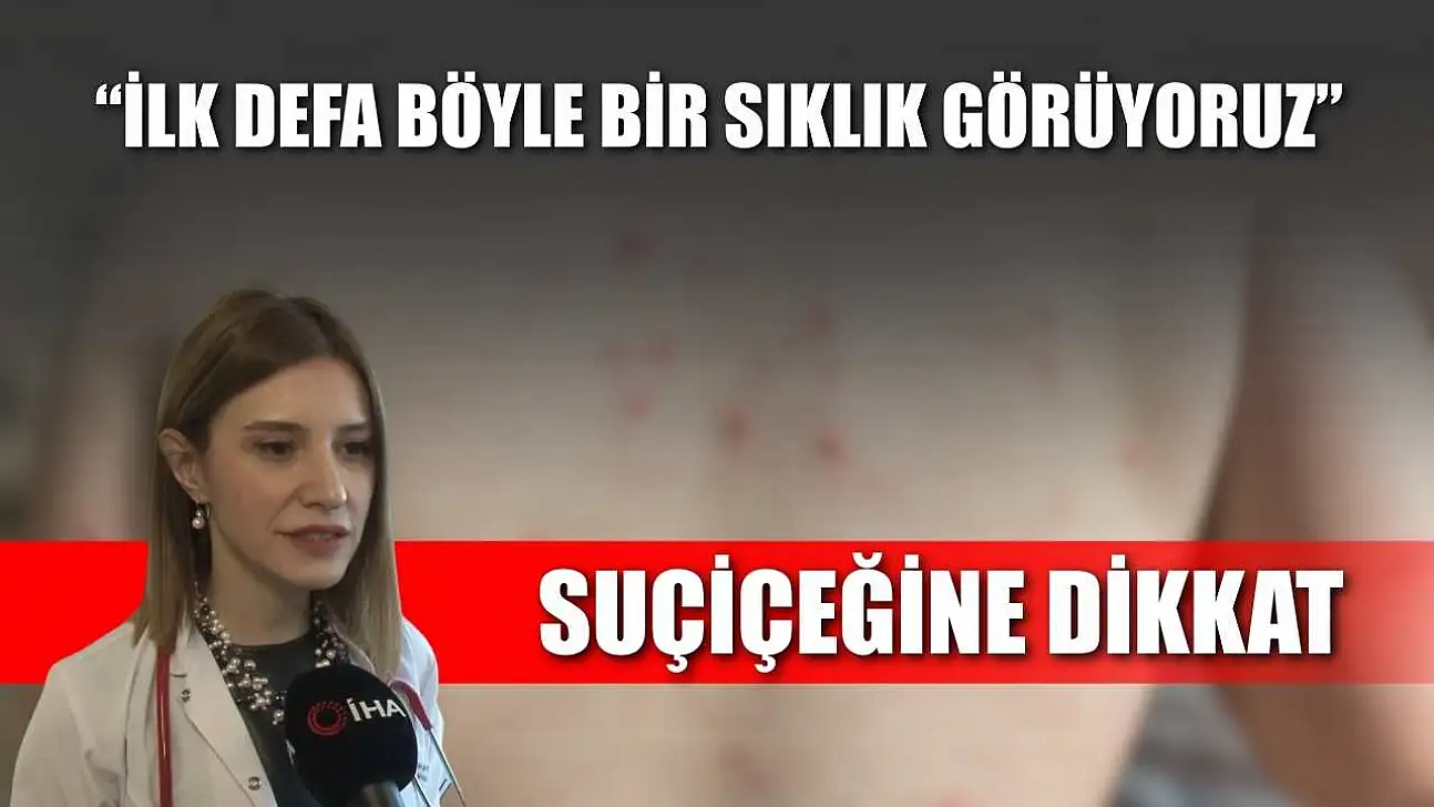 Suçiçeğine dikkat : 'İlk defa böyle bir sıklık görüyoruz'