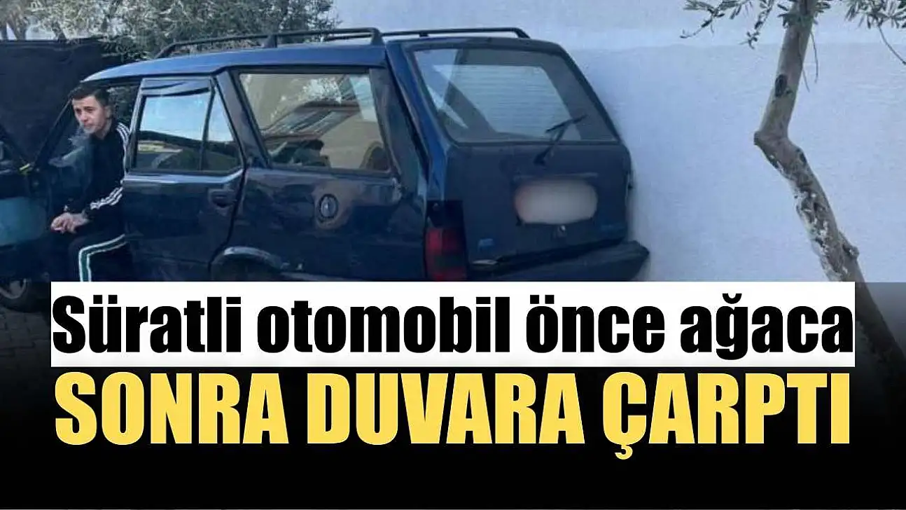 Süratli otomobil önce ağaca sonra duvara çarptı