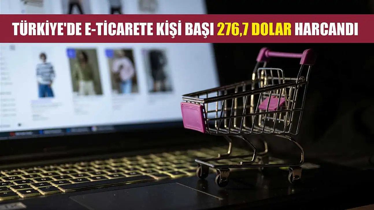 Türkiye'de e-ticarete kişi başı 276,7 dolar harcandı