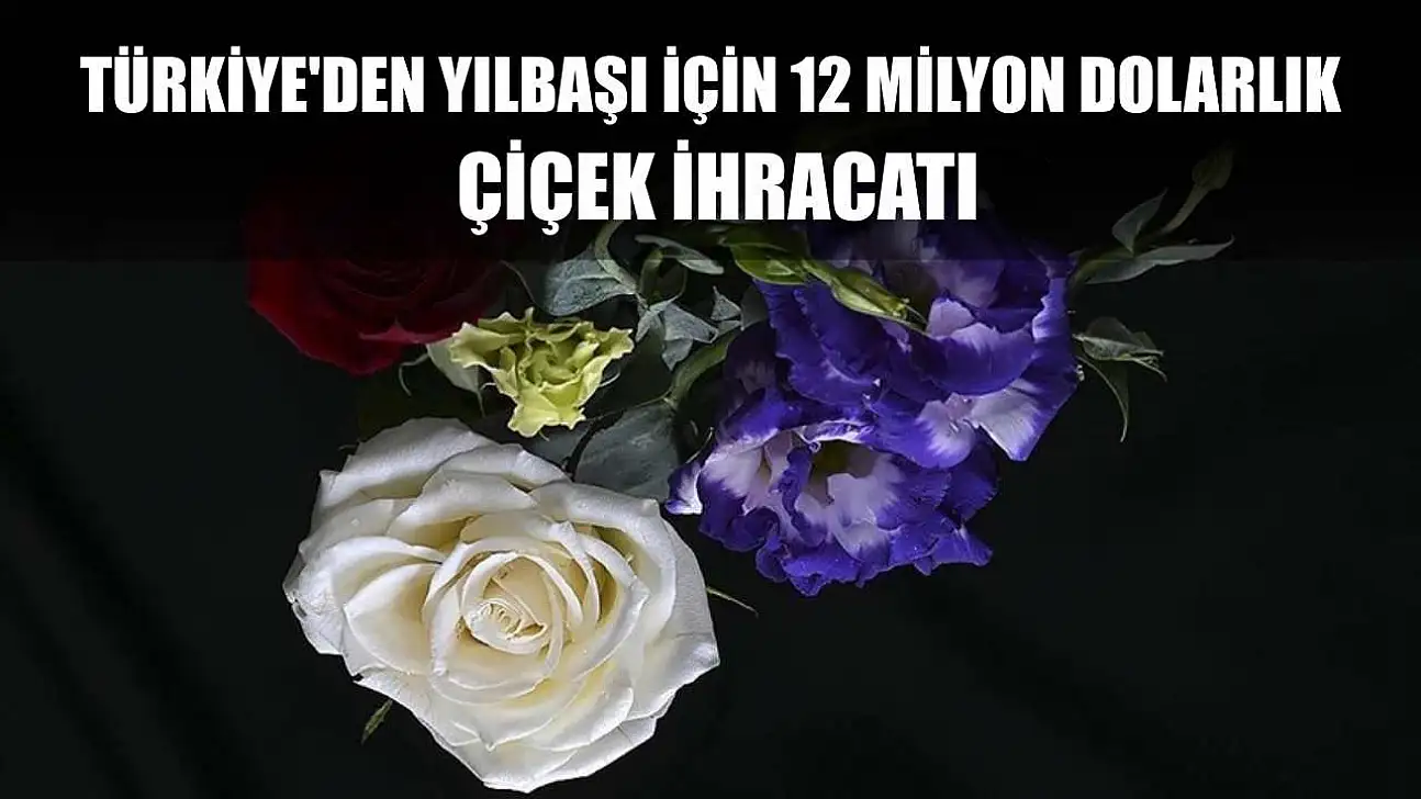 Türkiye'den yılbaşı için 12 milyon dolarlık çiçek ihracatı
