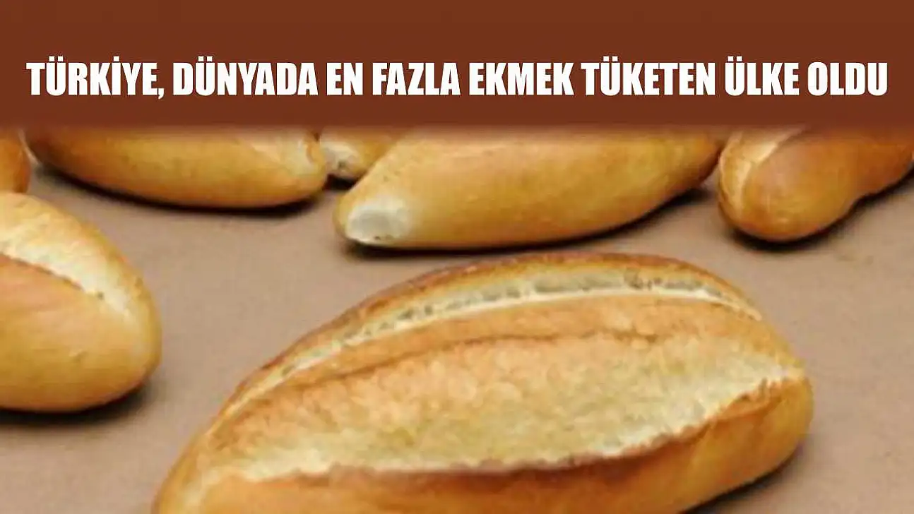 Türkiye, Dünyada En Fazla Ekmek Tüketen Ülke Oldu