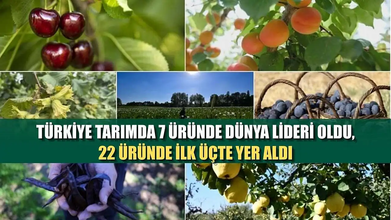 Türkiye tarımda 7 üründe dünya lideri oldu, 22 üründe ilk üçte yer aldı