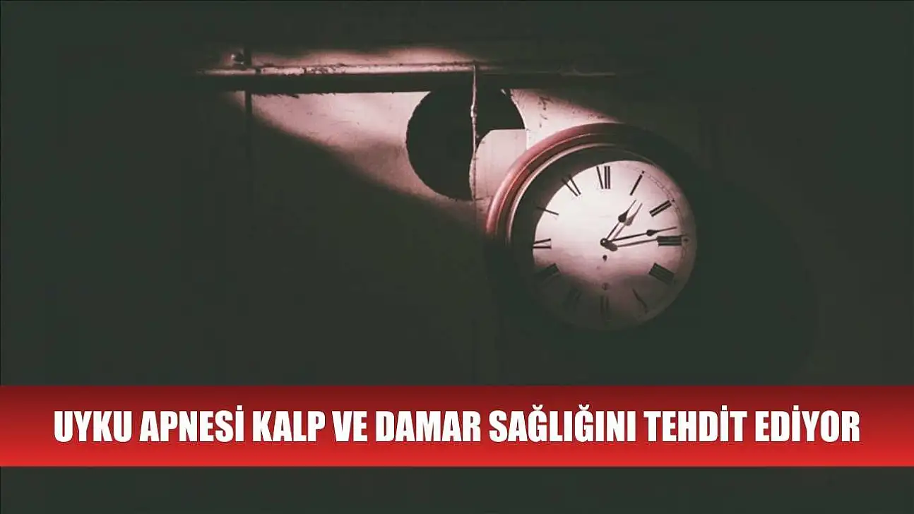 Uyku apnesi kalp ve damar sağlığını tehdit ediyor