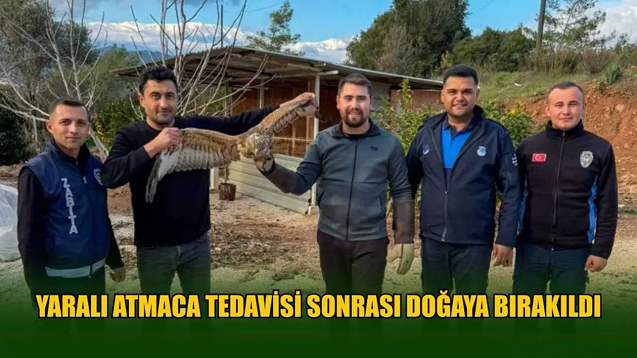 Yaralı atmaca tedavisi sonrası doğaya bırakıldı